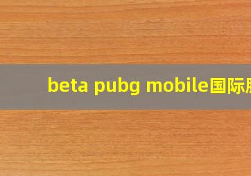 beta pubg mobile国际服